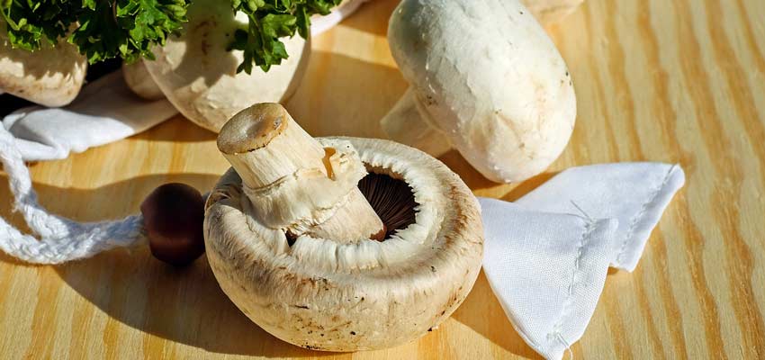 Champignons